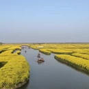 泰州旅游 缩略图 3