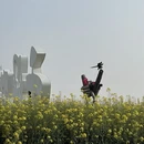 泰州旅游 缩略图 8