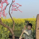 泰州旅游 缩略图 12