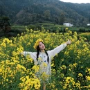 黄山旅游 缩略图 2