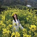 黄山旅游 缩略图 1