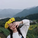 黄山旅游 缩略图 4