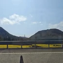 南宁旅游 缩略图 2