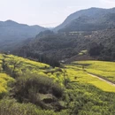 南宁旅游 缩略图 4
