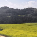 南宁旅游 缩略图 3