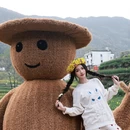 黄山旅游 缩略图 9