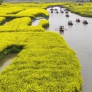 泰州旅游 缩略图 3