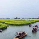 泰州旅游 缩略图 16