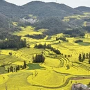 昆明旅游 缩略图 17