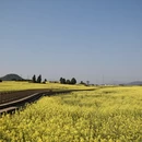 曲靖旅游 缩略图 10