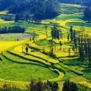 曲靖旅游 缩略图 1