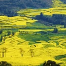 曲靖旅游 缩略图 4