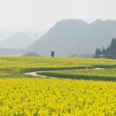 保山旅游 缩略图 2