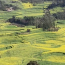 保山旅游 缩略图 1