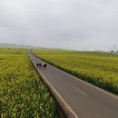 保山旅游 缩略图 5