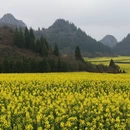 保山旅游 缩略图 4