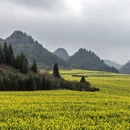 保山旅游 缩略图 6