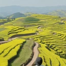 昆明旅游 缩略图 1