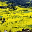 曲靖旅游 缩略图 3