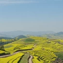 昆明旅游 缩略图 2