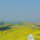 昆明旅游 缩略图 4
