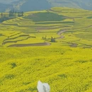 昆明旅游 缩略图 6