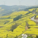 昆明旅游 缩略图 5