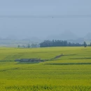 昆明旅游 缩略图 9