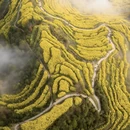 黄山旅游 缩略图 4