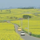 昆明旅游 缩略图 7