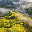 黄山旅游 缩略图 1