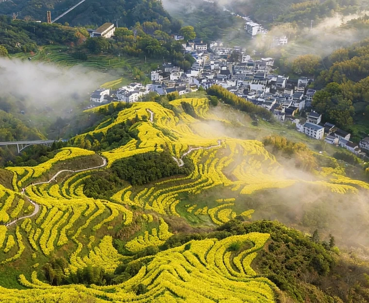 黄山旅游 1