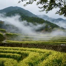 黄山旅游 缩略图 11