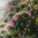黄山旅游 缩略图 6