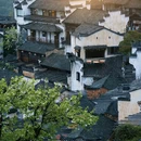 黄山旅游 缩略图 8