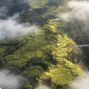 黄山旅游 缩略图 2