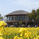 上海旅游 缩略图 1