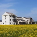 上海旅游 缩略图 11