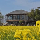 上海旅游 缩略图 6