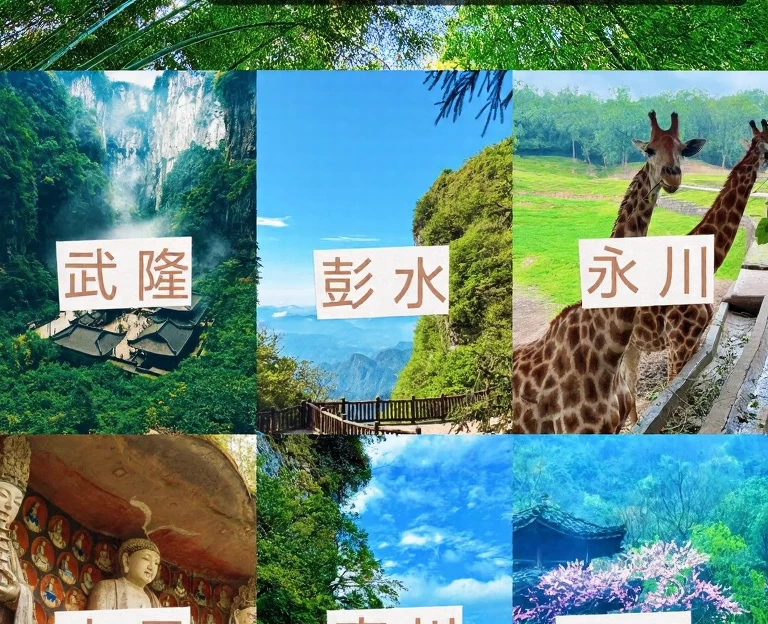 重庆旅游 1
