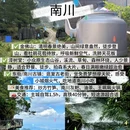 重庆旅游 缩略图 4