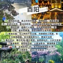重庆旅游 缩略图 7