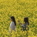 上海旅游 缩略图 13