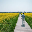 上海旅游 缩略图 2