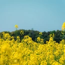 上海旅游 缩略图 5