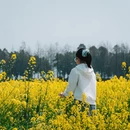 上海旅游 缩略图 6