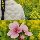 重庆旅游 缩略图 6