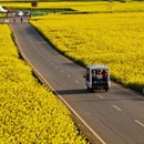 贵阳旅游 缩略图 4