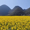 昆明旅游 缩略图 5