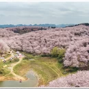 贵阳旅游 缩略图 2